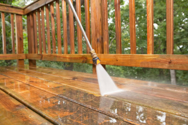 Best Exterior Home Cleaning  in Paradise, CA