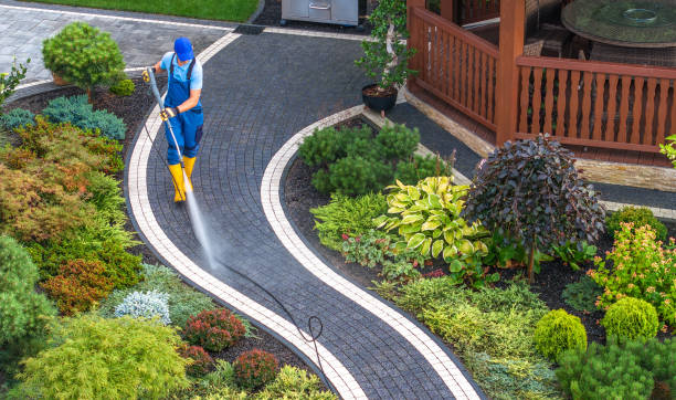 Best Sidewalk Pressure Washing  in Paradise, CA
