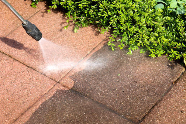  Paradise, CA Pressure Washing Pros