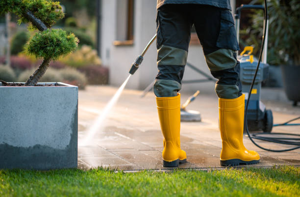 Best Power Washing Near Me  in Paradise, CA